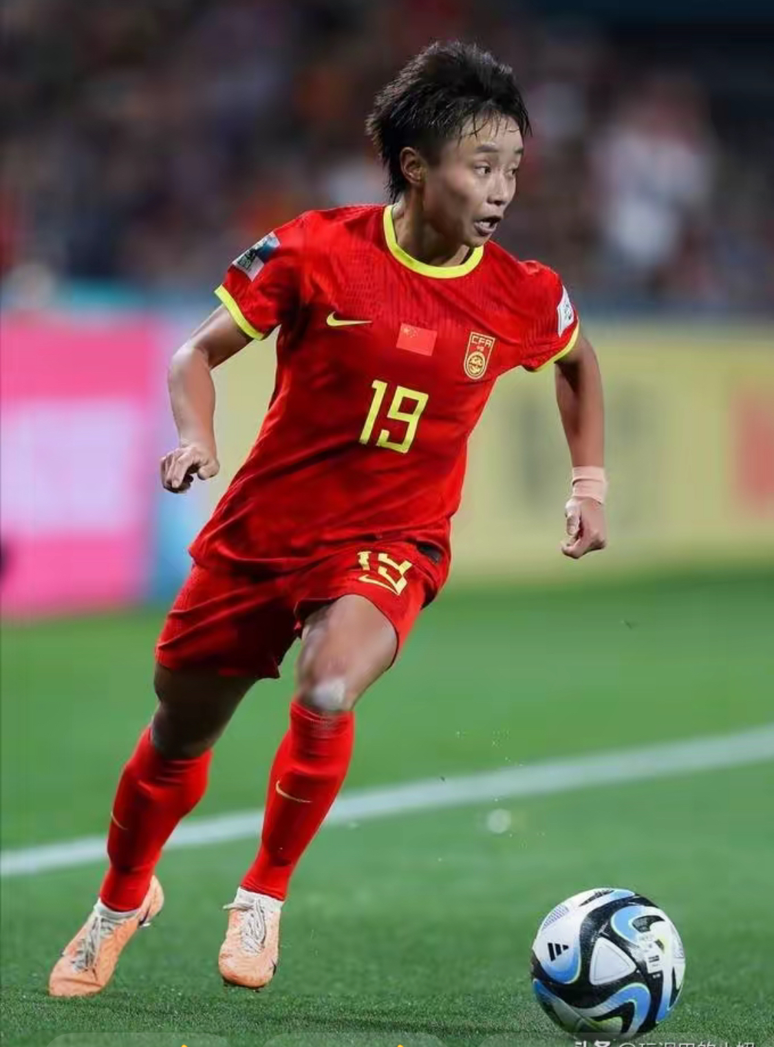 披荆斩棘！中国女足飒爽英姿登峰的简单介绍