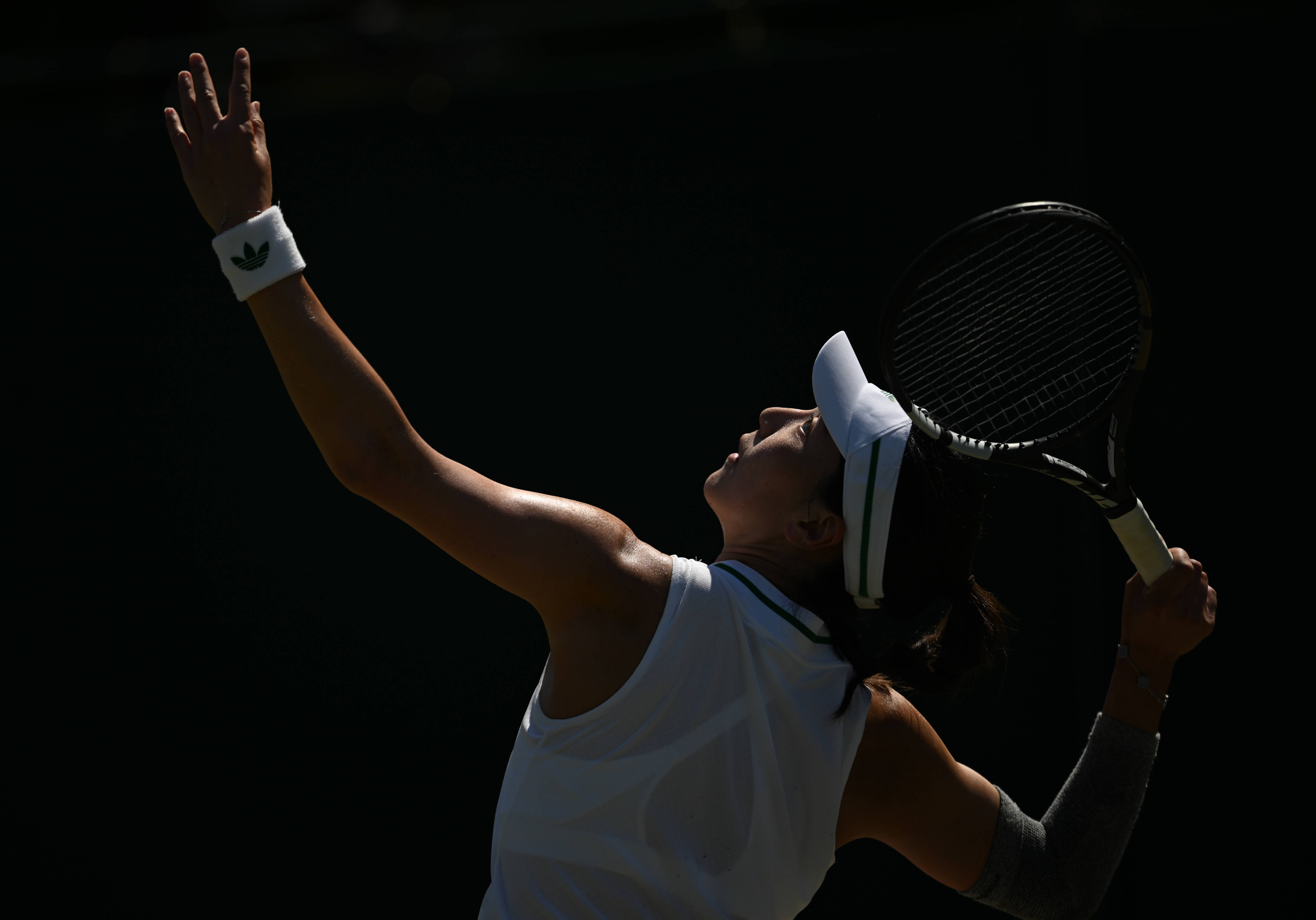 温网绝杀蒙特卡洛大师赛，蒂姆状态火热的简单介绍