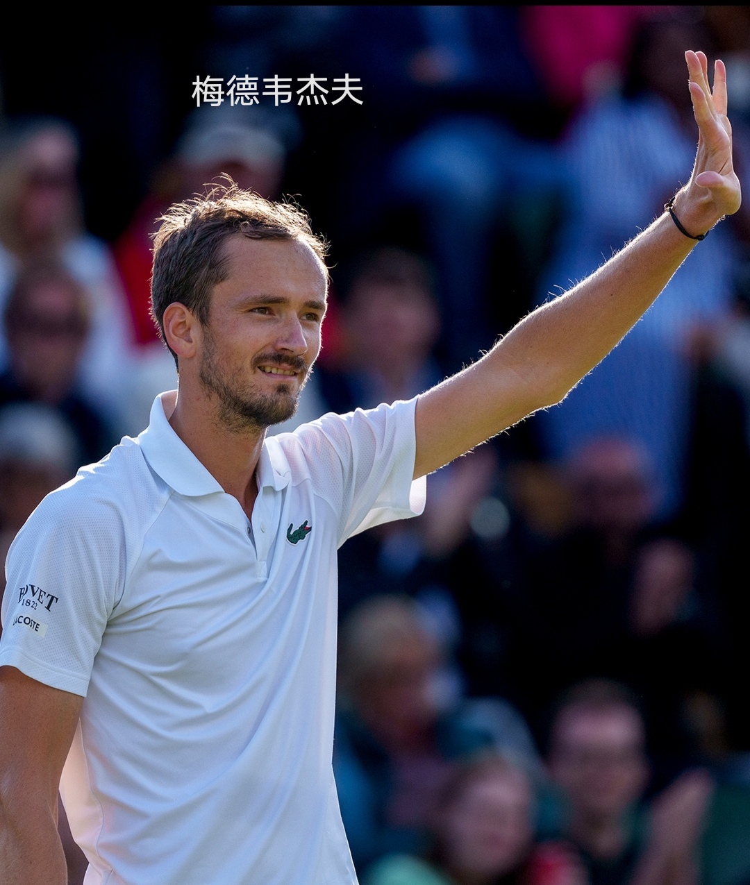 关于拉沃尔杯碾压年终总决赛，梅德韦杰夫刷新纪录的信息