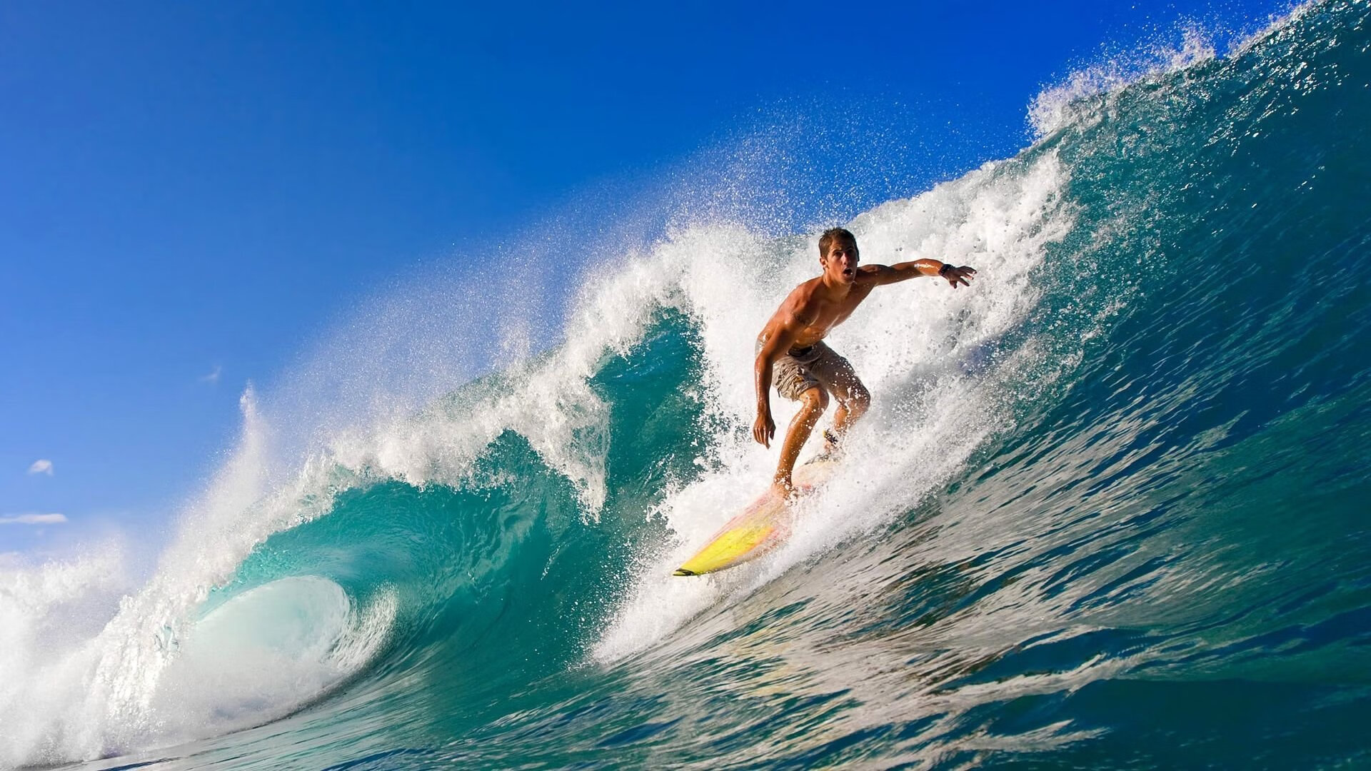 赛道上的双重奏，威廉姆斯的坚韧与维斯塔潘的统治